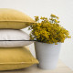 Jaune moutarde Coussin Rectangulaire velours