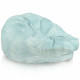 Pivoines pouf poire